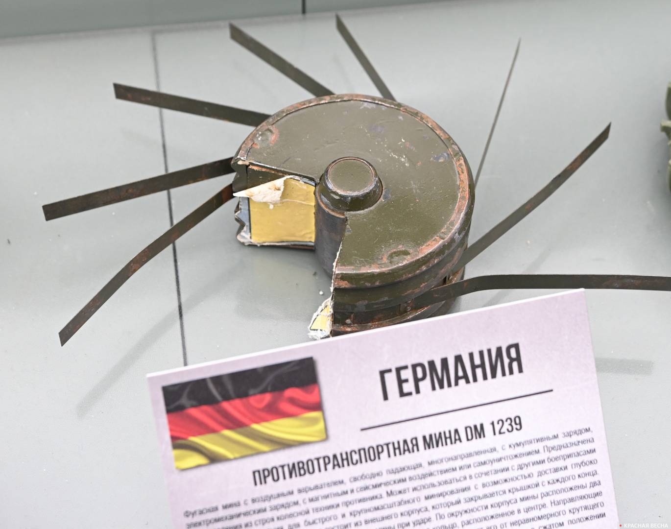 Противотранспортная мина DM 1239 (Германия)