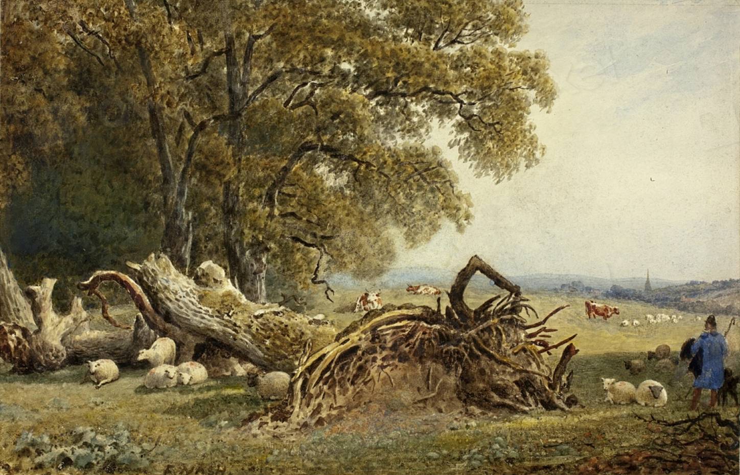 Фредерик Нэш. Овцы, коровы и пастух около выкорчеванного дерева. 1802