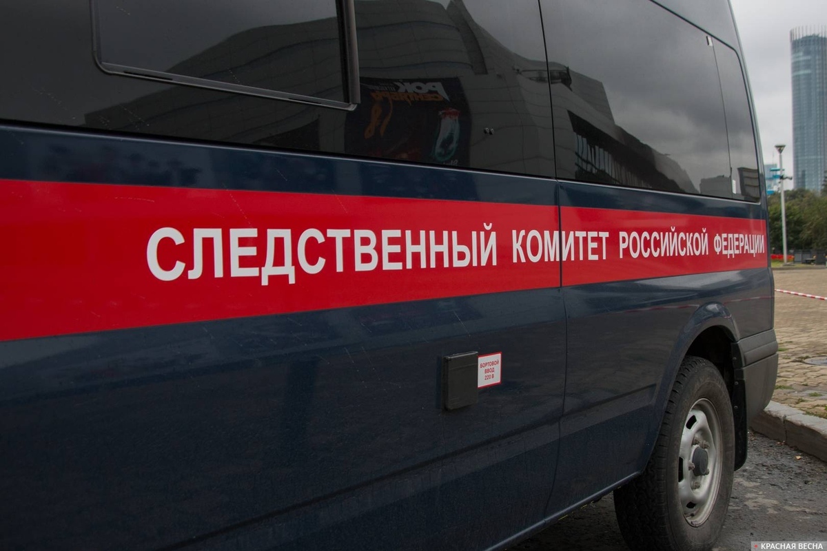 Следственный Комитет Российской Федерации.