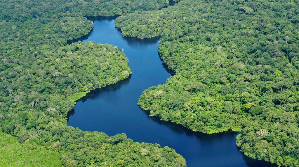 В Колумбии усомнились в возможности замедлить вырубку лесов в 2022 году