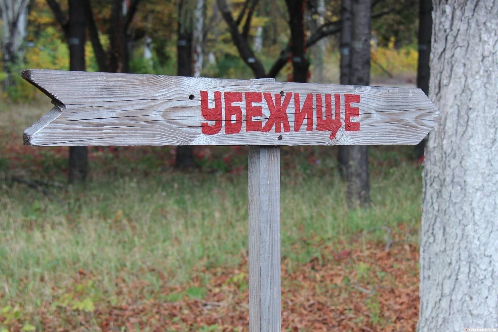 Знак Убежище. ДНР