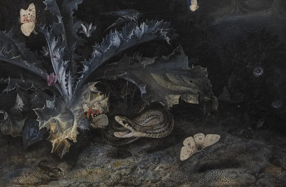 Отто Марсеус ван Скрик. Натюрморт с чертополохом и змеей (фрагмент). 1663