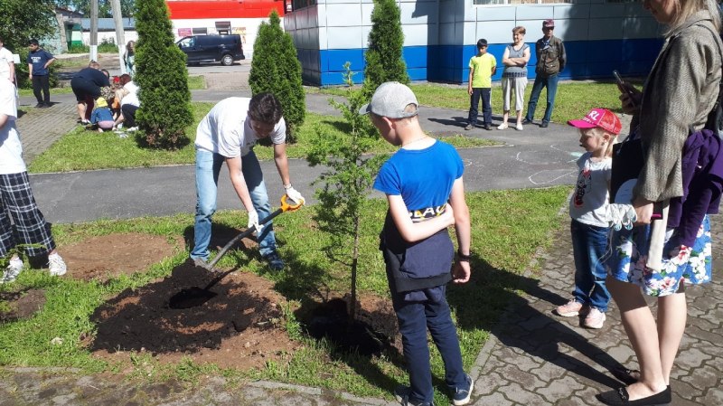 Около 50 деревьев высадили в Печорах в рамках акции «Сад Памяти»