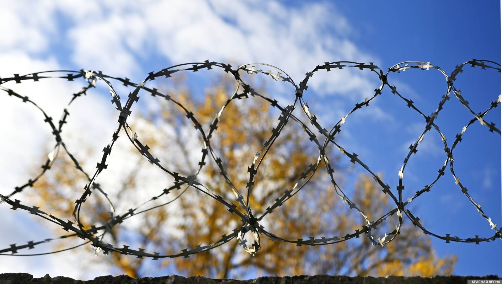 Колючая проволока Ограда Охрана Зона Тюрьма