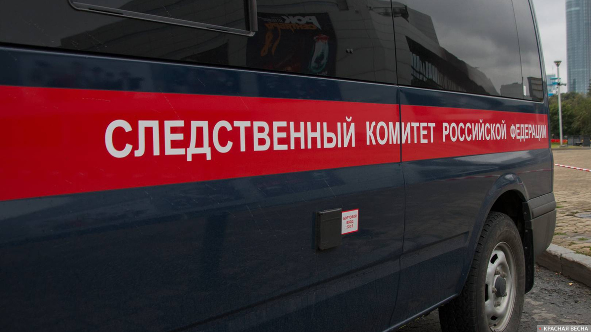 Следственный Комитет Российской Федерации.