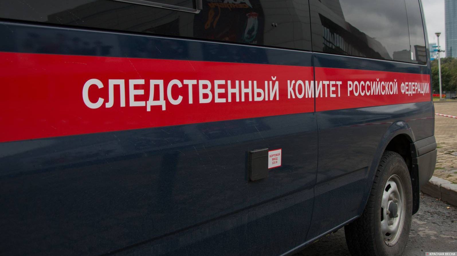 Следственный Комитет Российской Федерации.