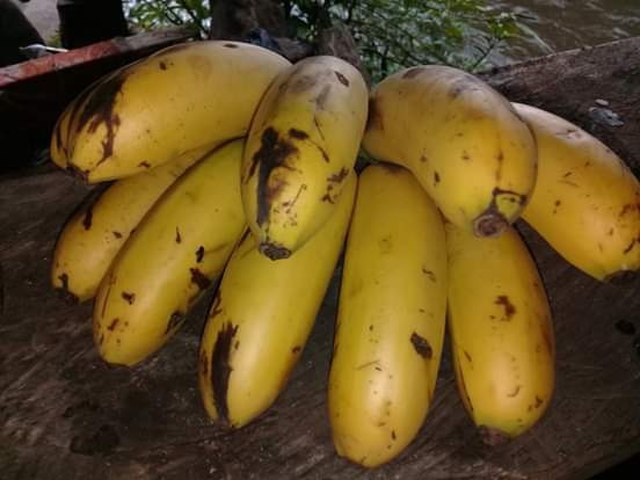 Бананы Эквадора