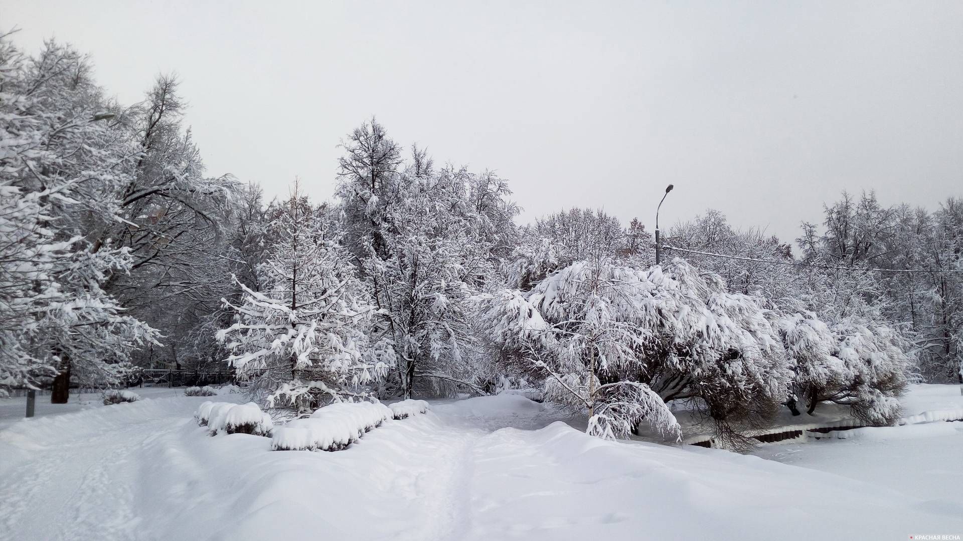 Снегопад