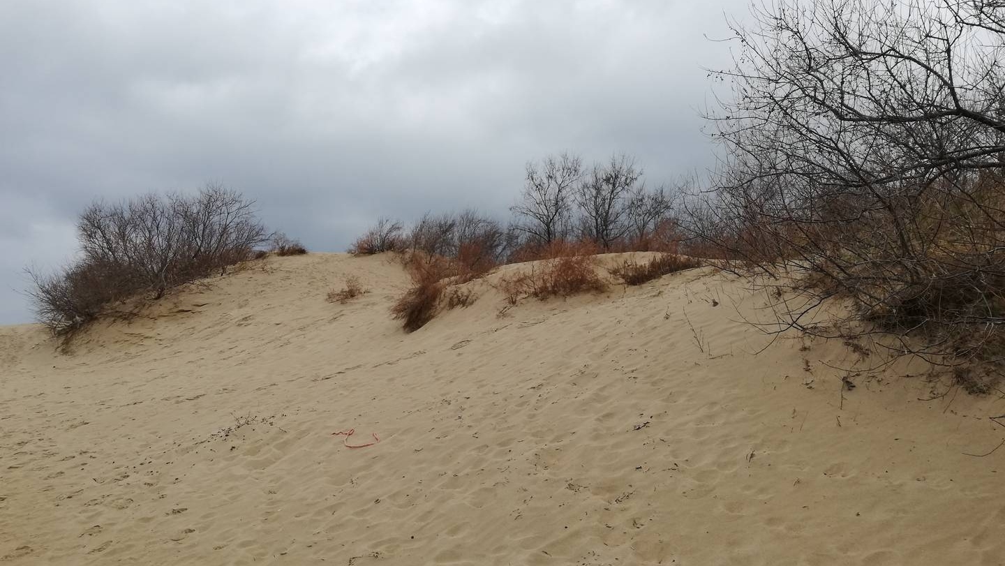 Анапские песчаные барханы
