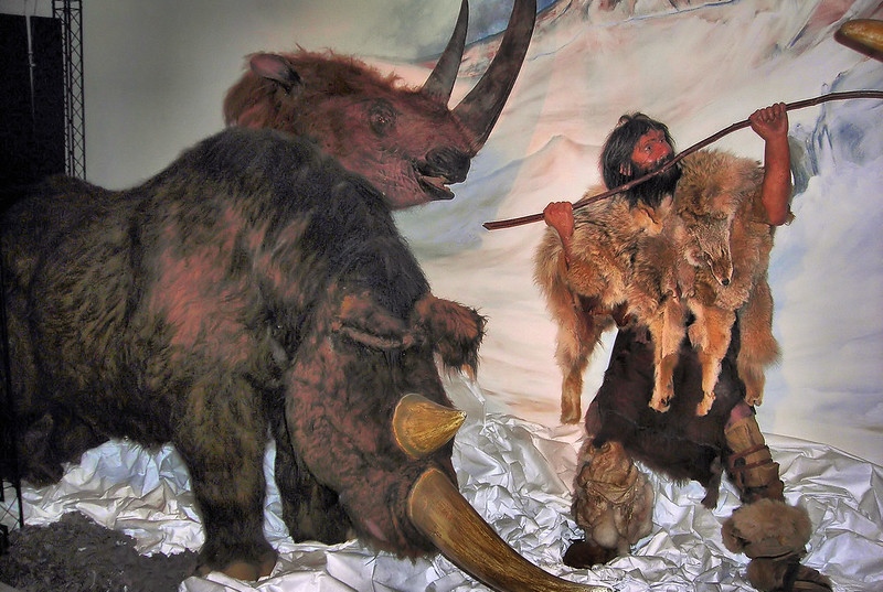 Охота на шерстистого носорога. Музей Хорнимана, Лондон.
