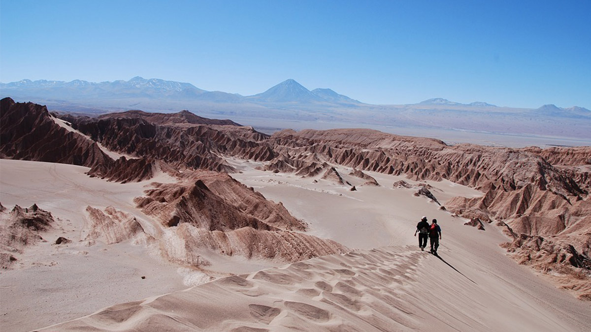 Пустыня Атакама. Чили.