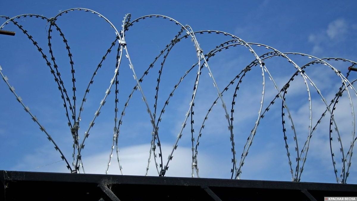 Колючая проволока на заборе тюрьмы