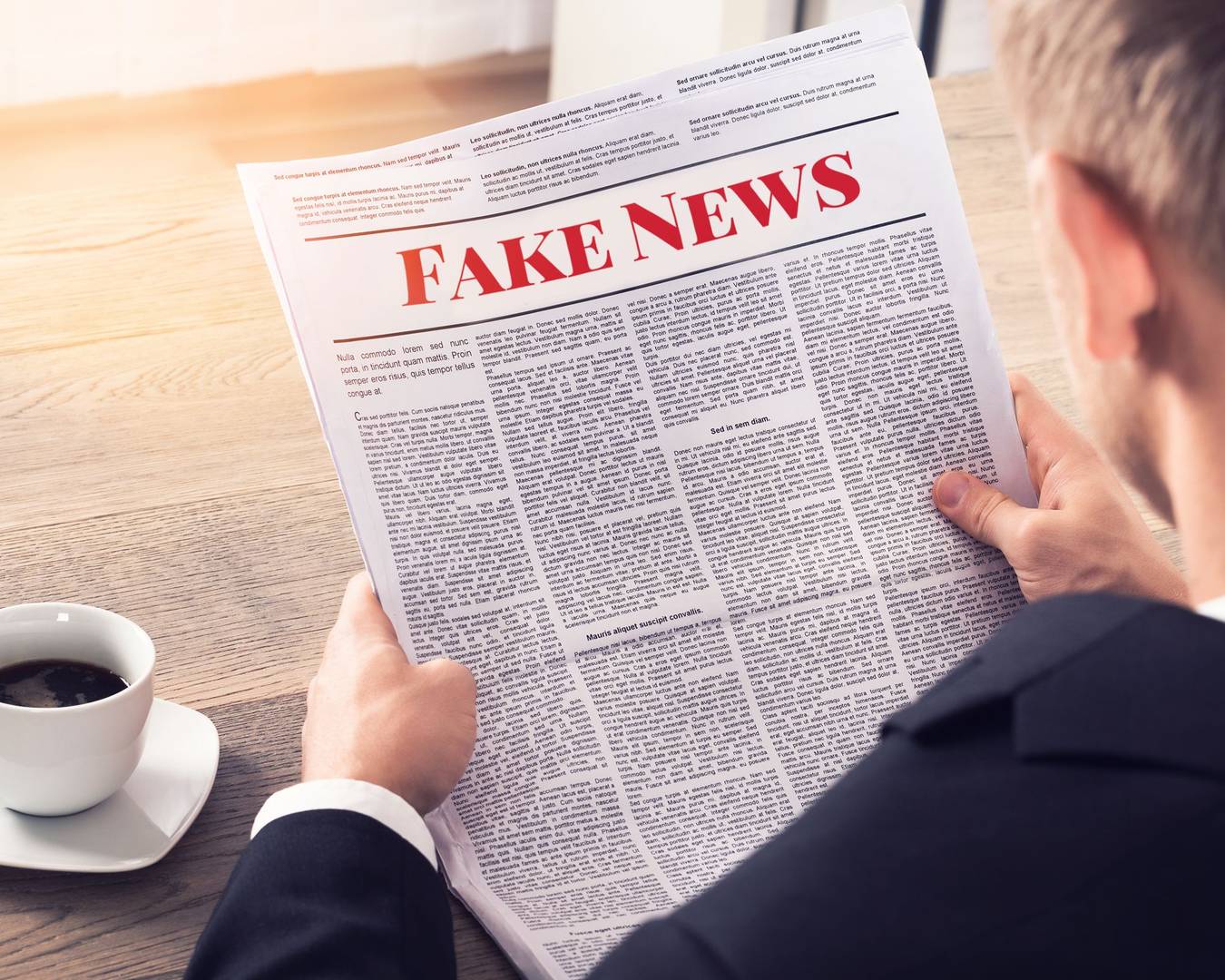 Fake News - Person Reading Fake News Article