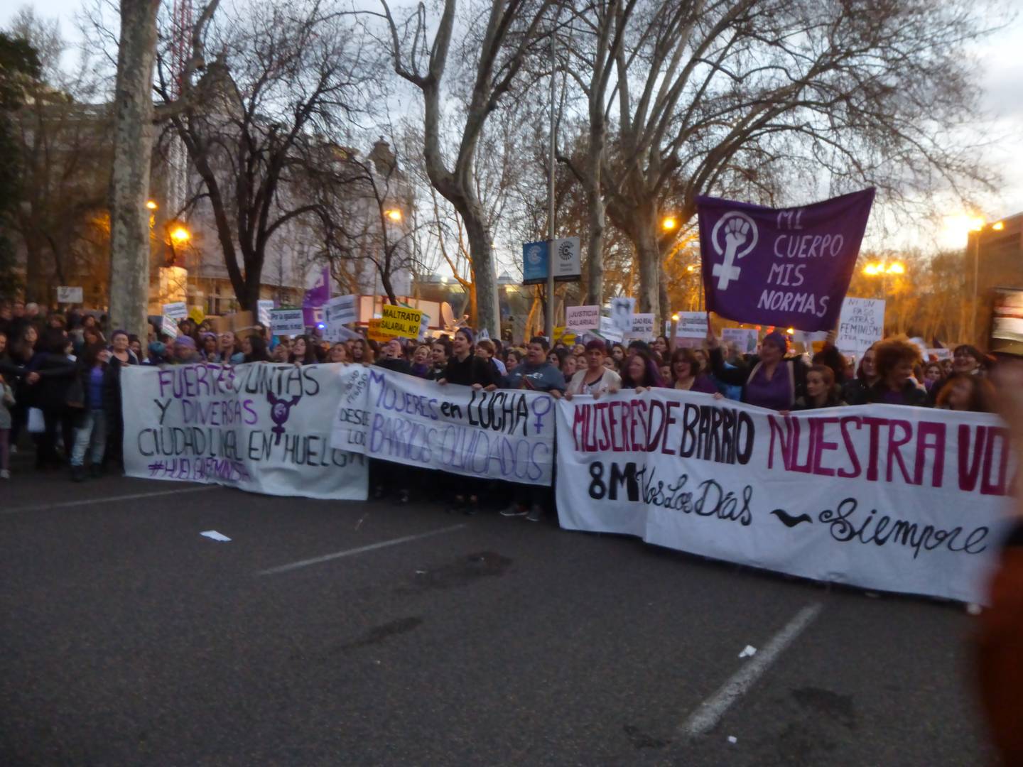 Мадрид. Манифестация 8 марта 2019 г.
