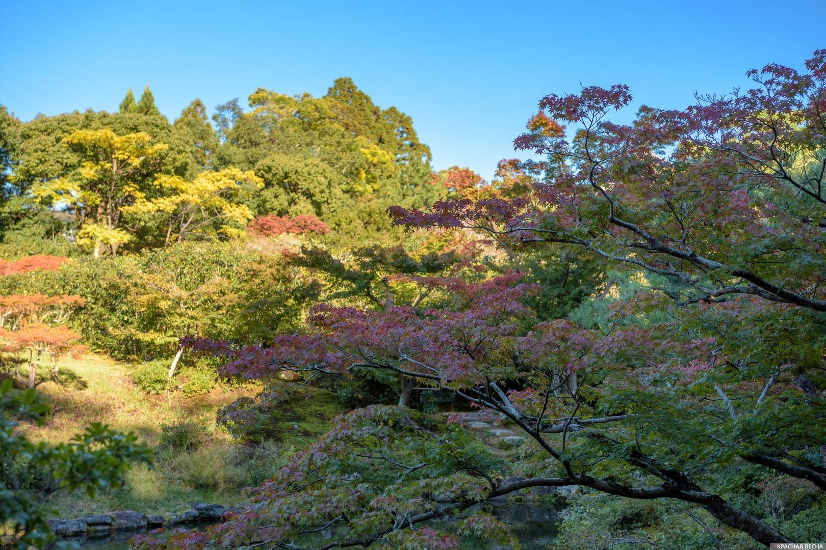 Сад Исуйен, Нара, Япония