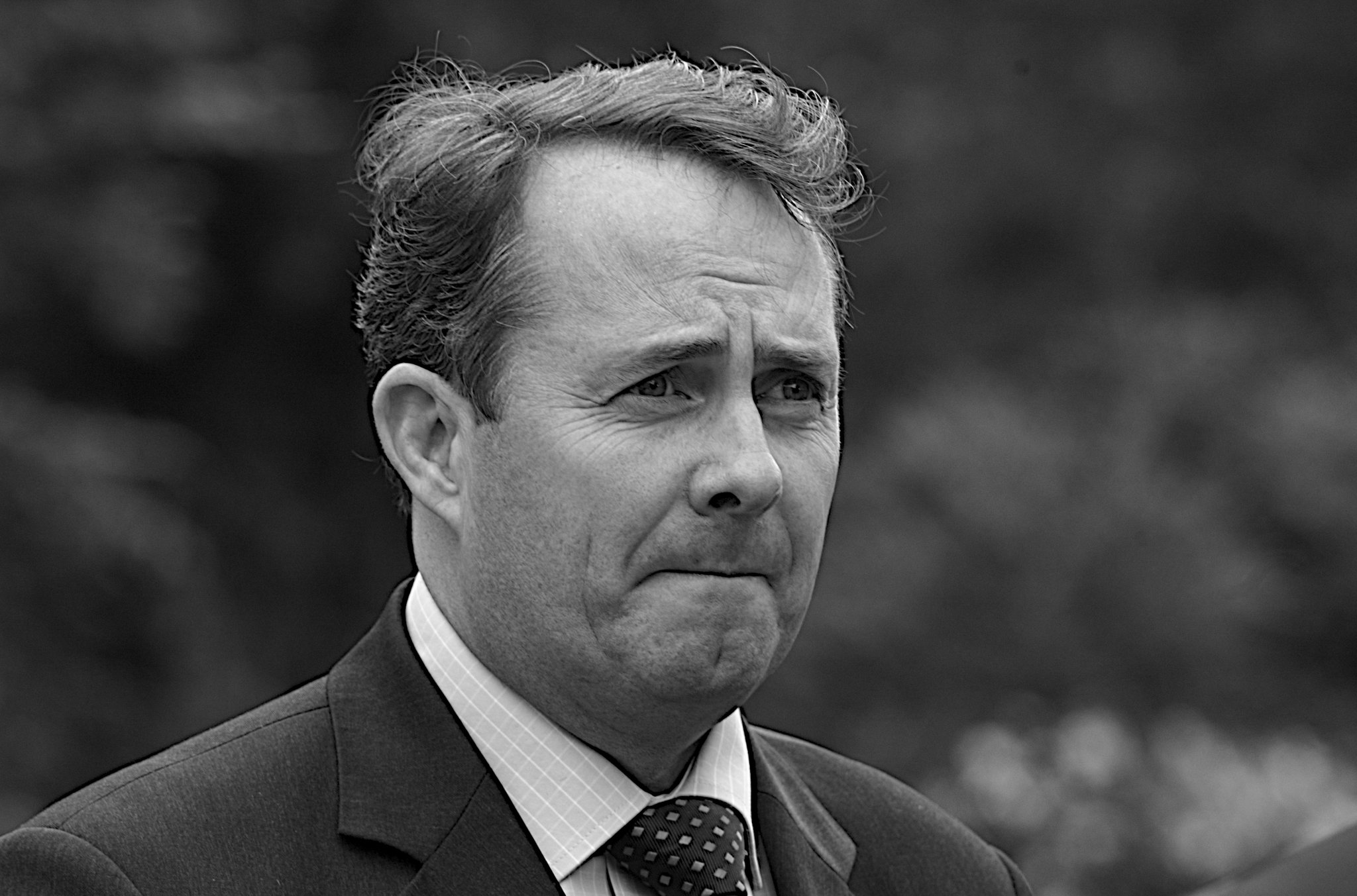 Министр внешней торговли Соединенного Королевства Лиам Фокс [(cc) Steve Punter]  