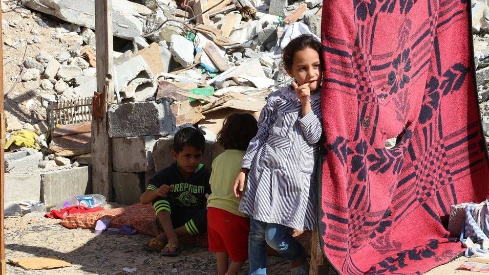Палестина. Сектор Газа. 2015 год