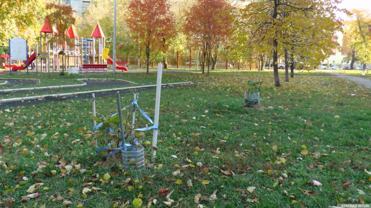 На Ставрополье создали новую «точку притяжения» для жителей села Арзгир