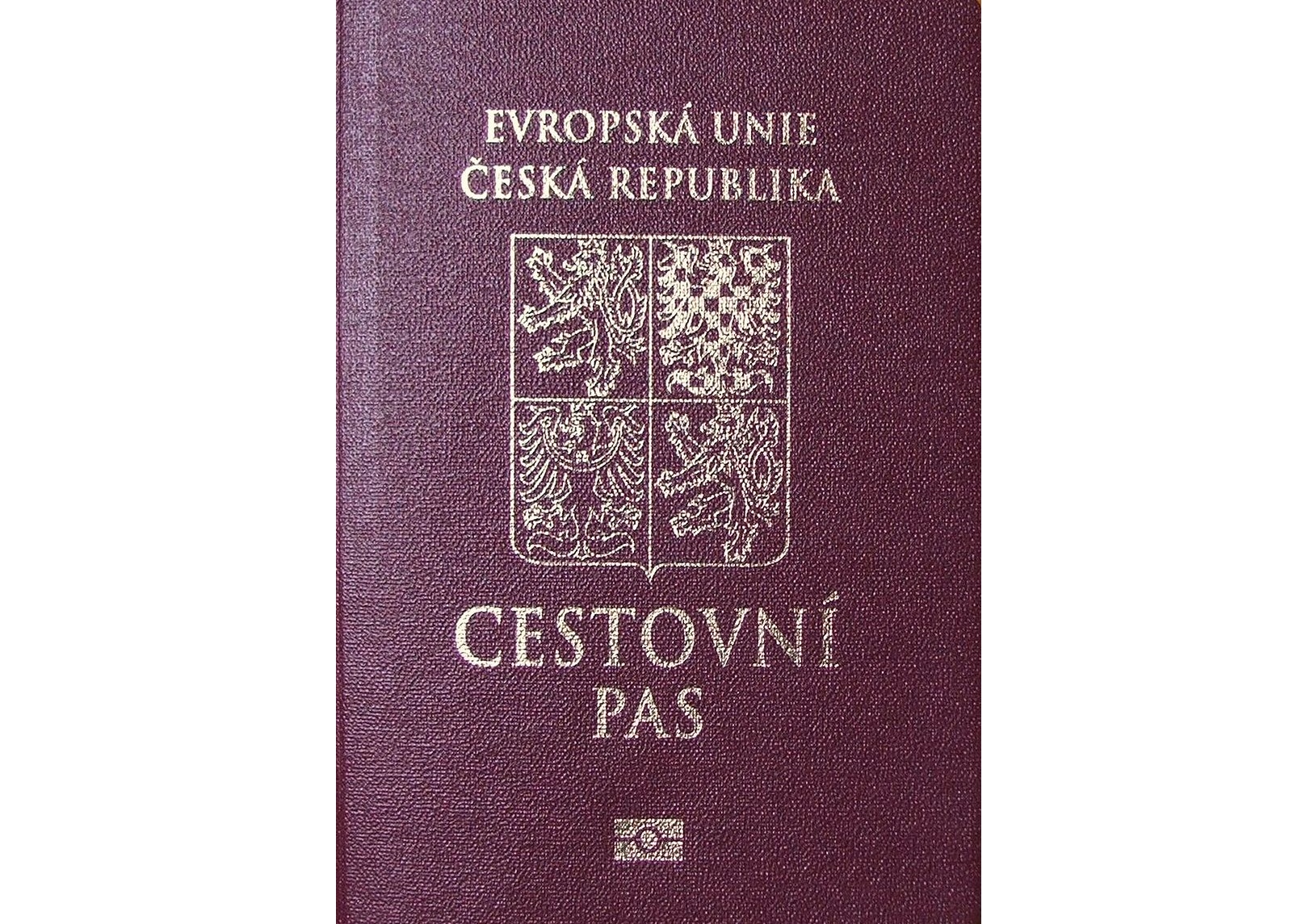 фото на паспорт чехов