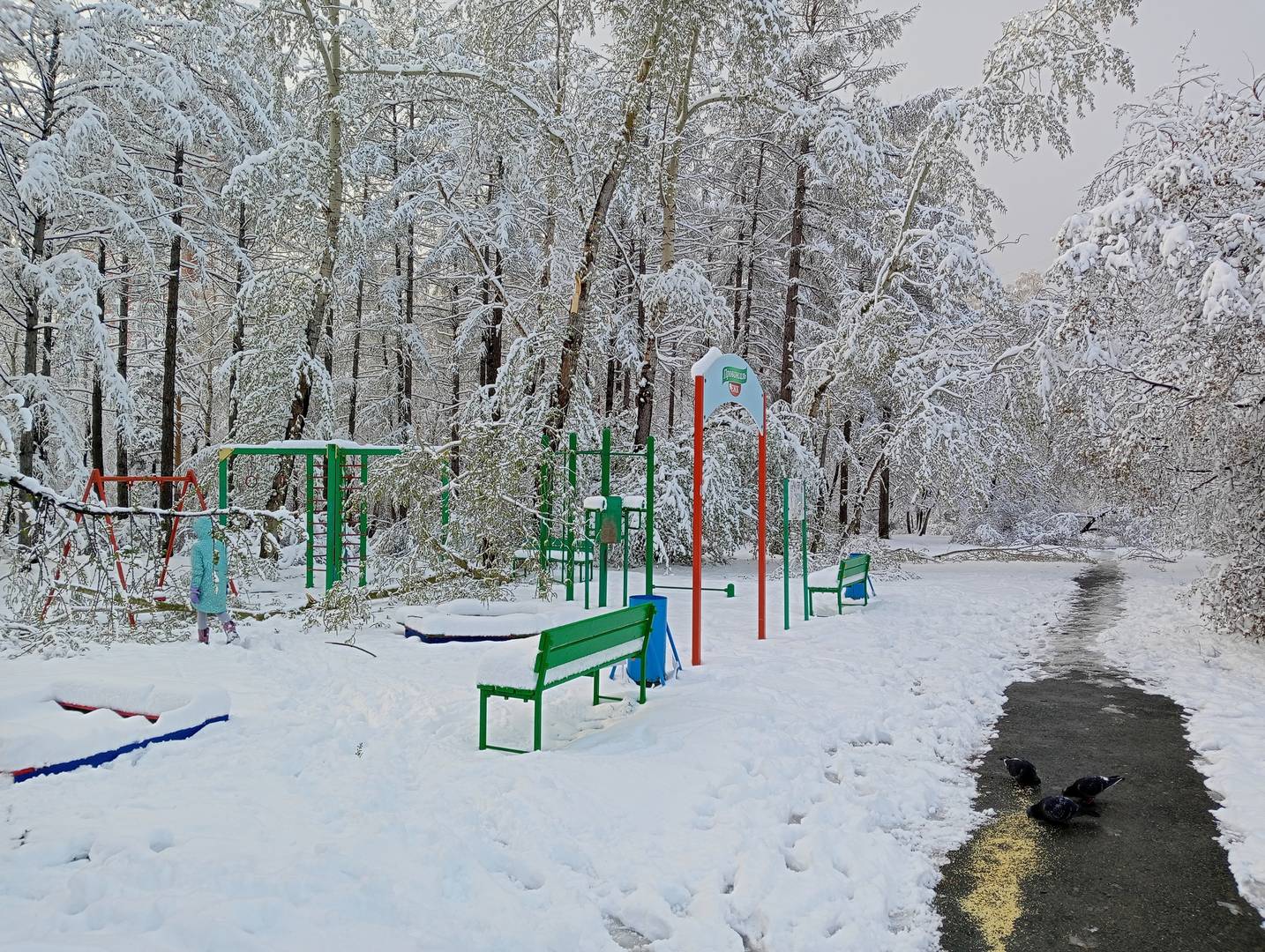 Парк в снегу
