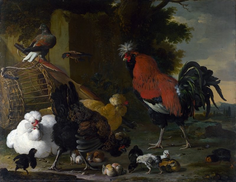 Мельхиор де Хондекутер. Петух, курицы и цыплята. 1668–1670