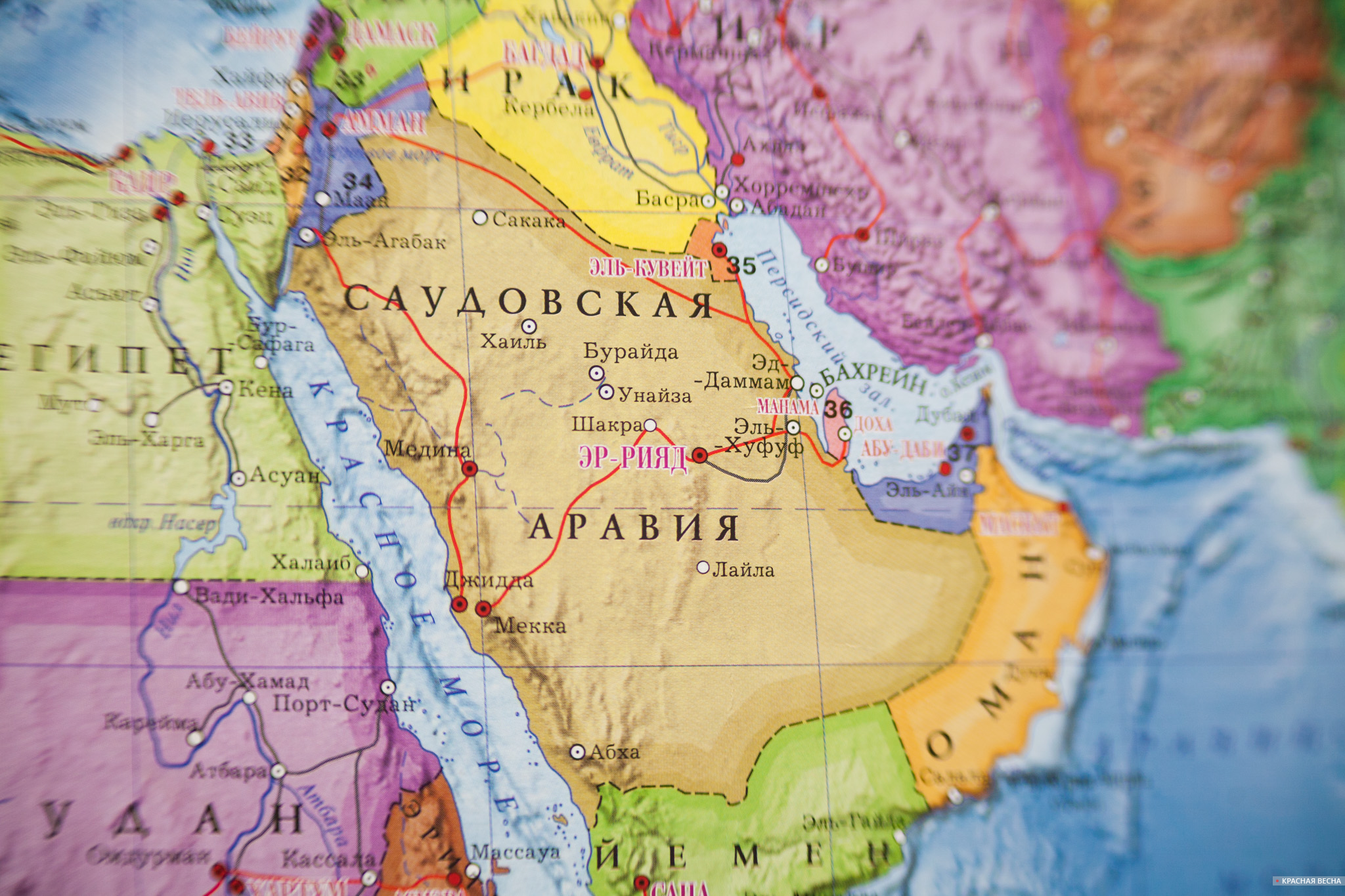 Саудовская Аравия на карте мира [Владимир Чичилимов © ИА Красная Весна]