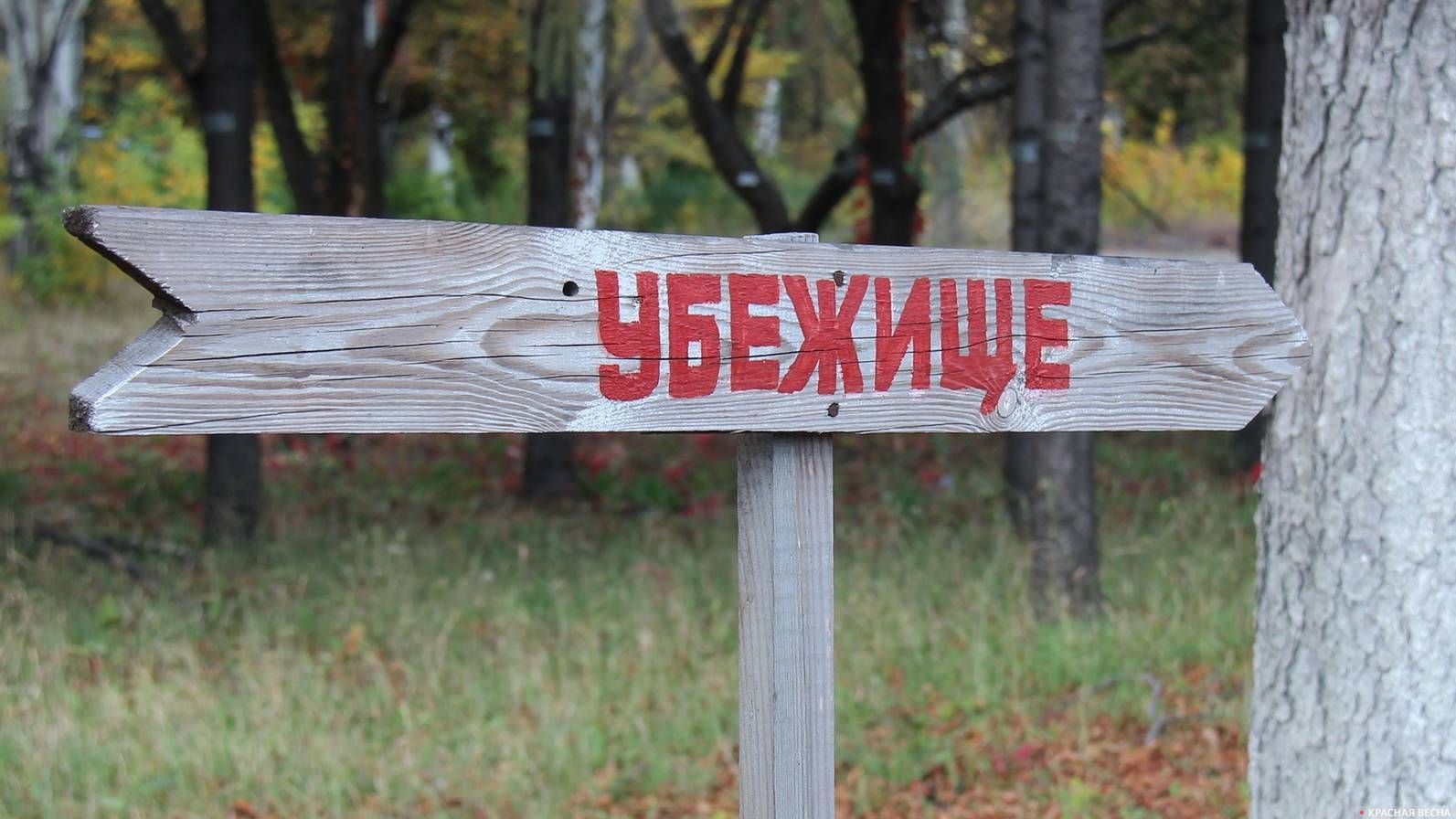 Знак «Убежище» в ДНР