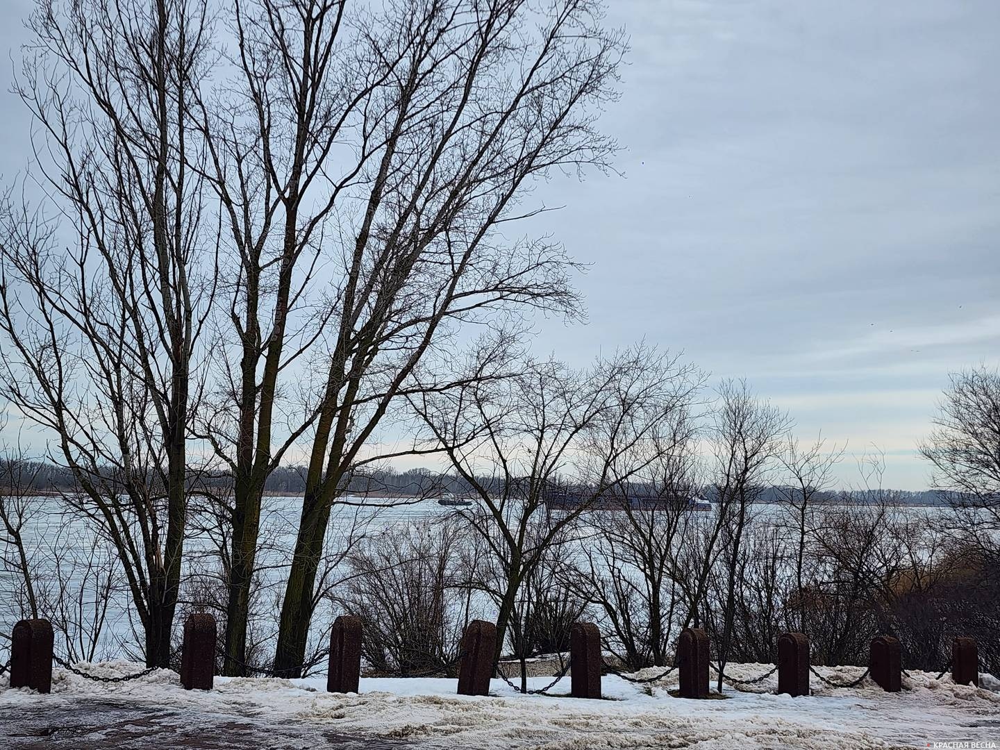 Река Мёртвый Донец, Кумженская роща, Ростов-на-Дону