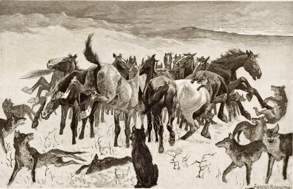 Фредерик Ремингтон. Полудикие лошади и волки. 1889