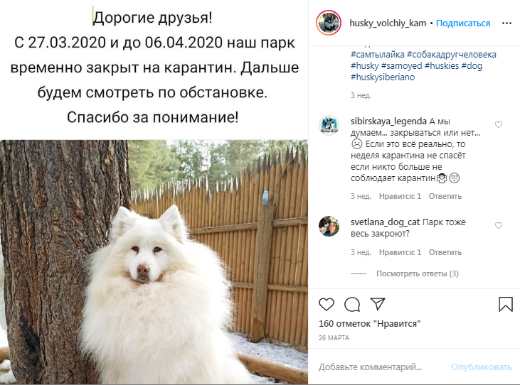 Скриншот страницы «Хаски-парк» в Instagram 