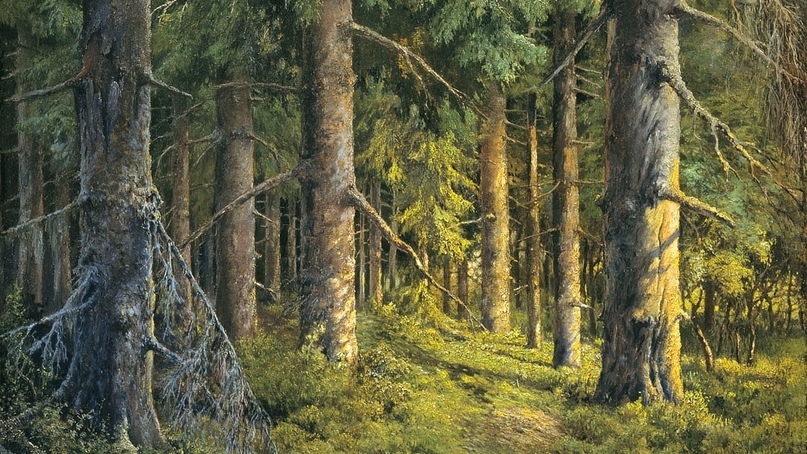 И. А. Вельц. Сосновый лес. 1920
