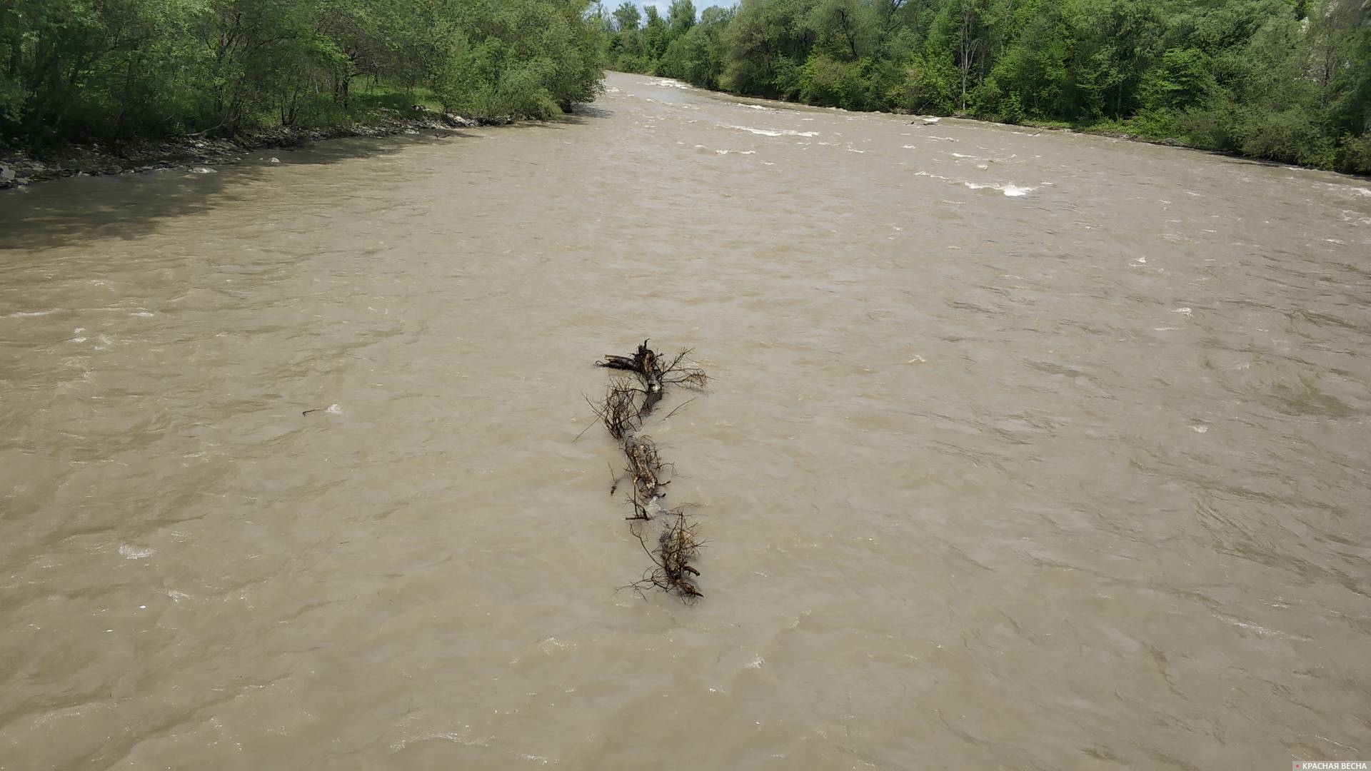 Горная река паводок
