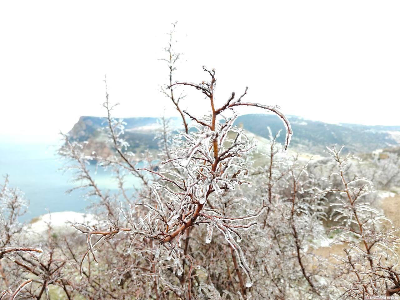 Снег в Крыму 