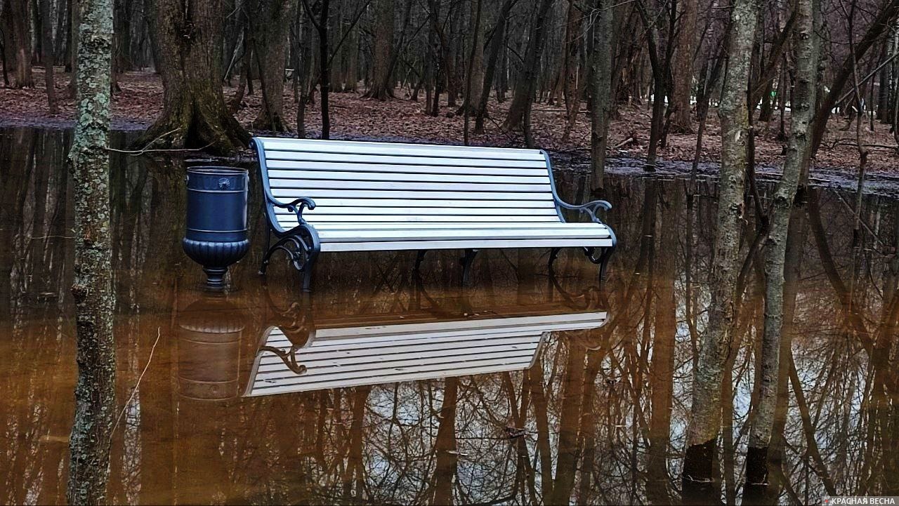 В Голой Пристани и Алёшках Херсонской области уровень воды начал снижаться  | ИА Красная Весна