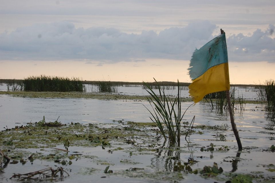 Флаг украины в болоте