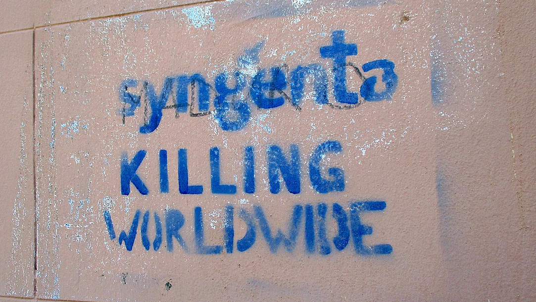 «Syngenta убивает повсеместно» — надпись на стене в Базеле