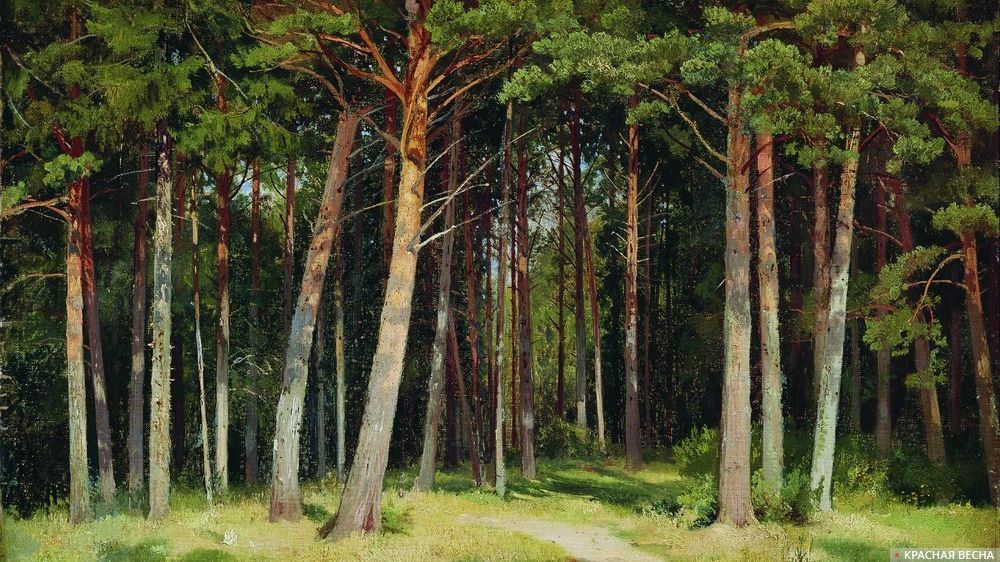 Иван Шишкин. Сосновый лес. 1885