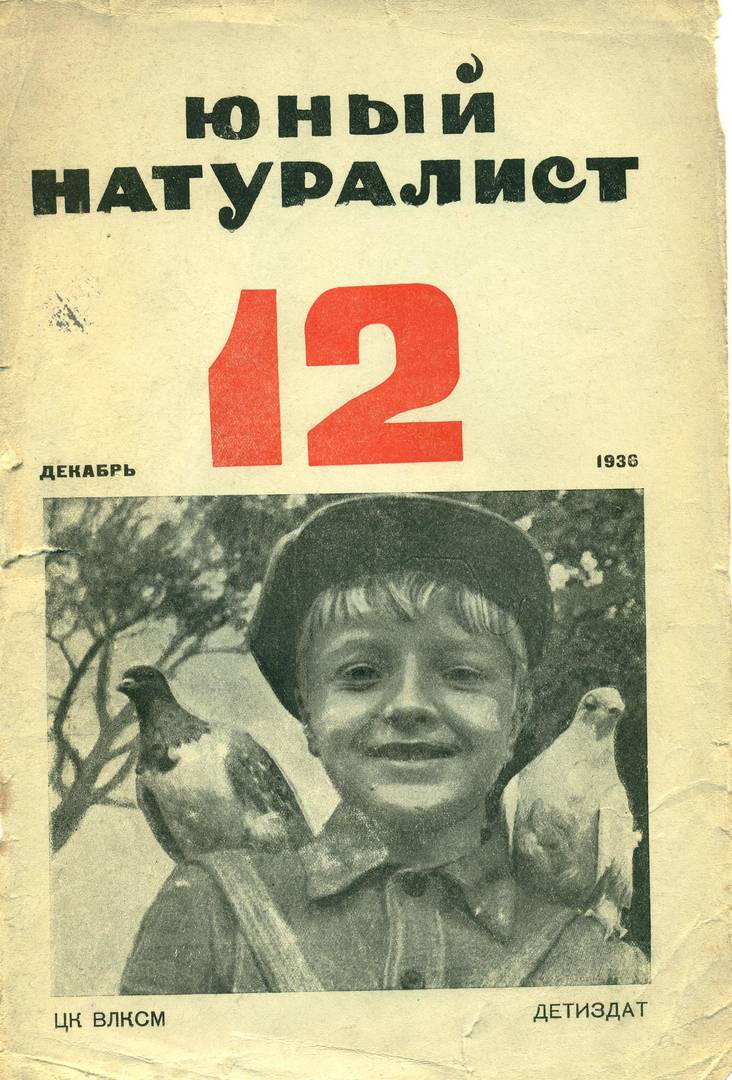«ЮНЫЙ НАТУРАЛИСТ». обложка журнала 1936. № 12.