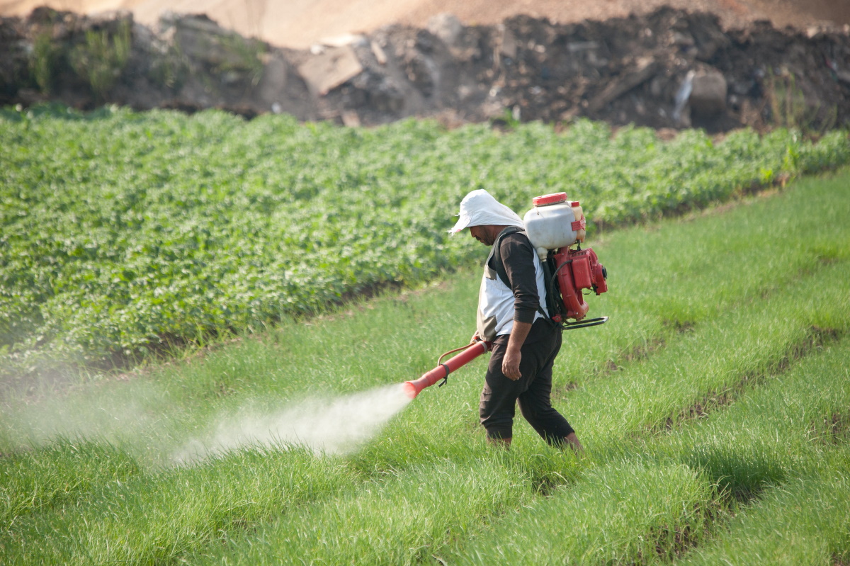 Фермер обрабатывает посевы пестицидами