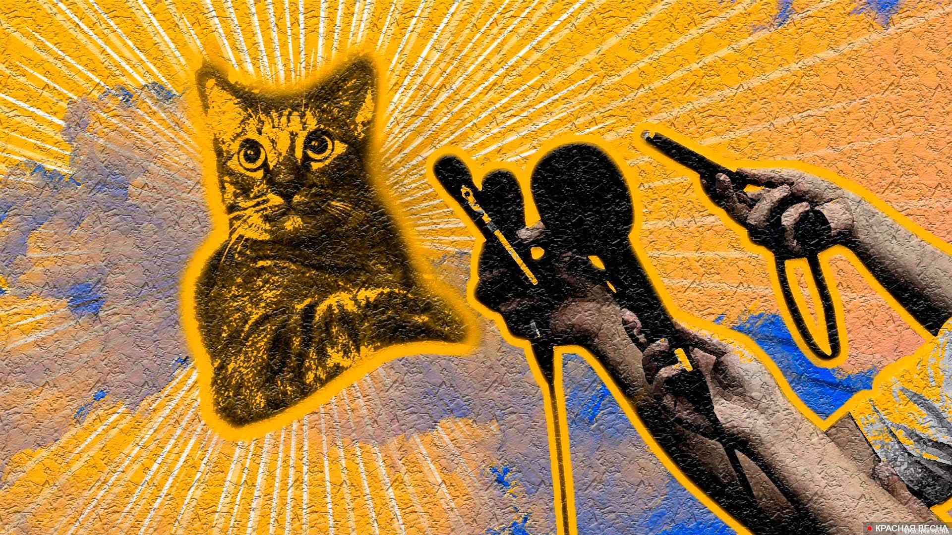 Неверный текст