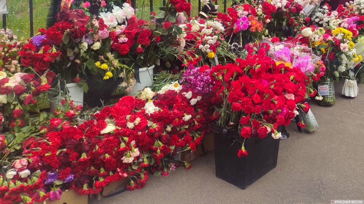 Красные гвоздики. Мемориал в память о погибших от вражеского удара 22 июня 2026 года, Воронеж, 29.06.2026