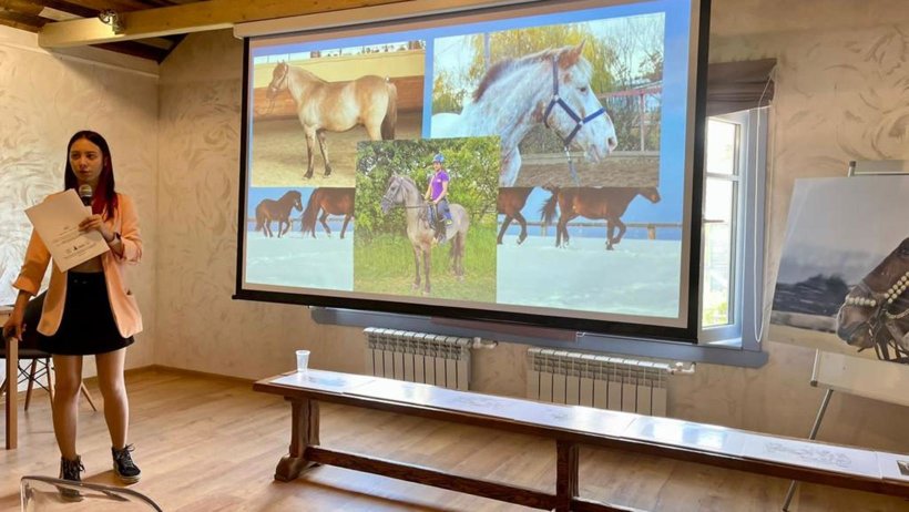 В Архангельской области эксперты обсудили актуальные вопросы развития коневодства