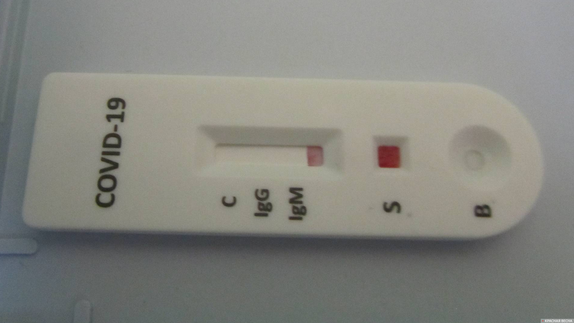 Тест на коронавирус