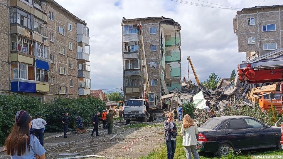 Взрыв газа. Разрушение дома. Кинолог