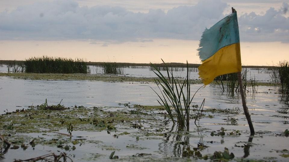 Украинский флаг в болоте