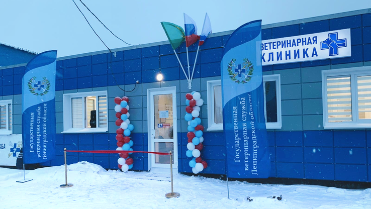 Ветеринарная клиника в поселке Сумино Волосовского района Ленинградской области