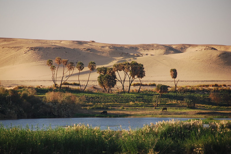 Река Нил. Египет