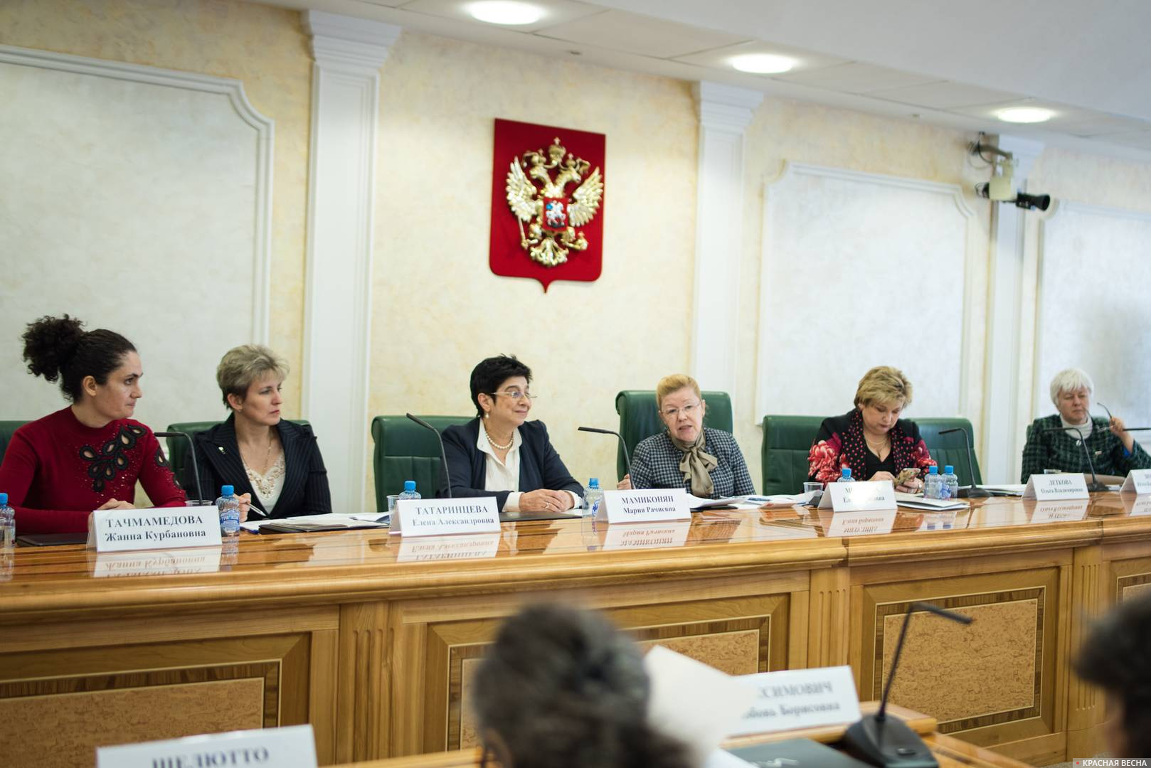 Парламентские слушания «Концепция родительско-детских отношений в Семейном кодексе РФ»