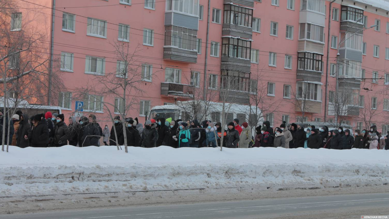 Шествие протестующих, Барнаул