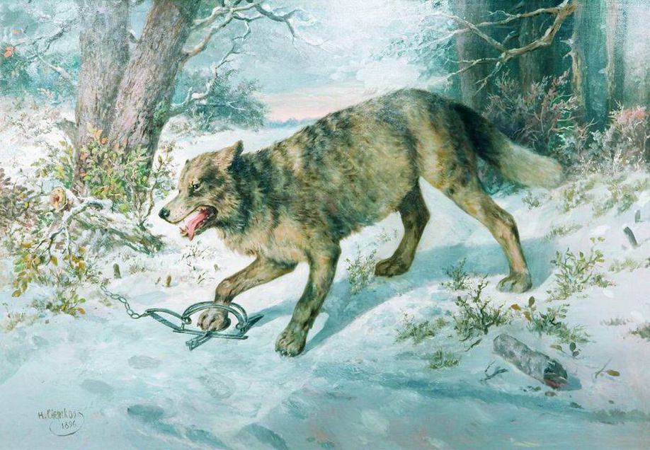Николай Сверчков. Попался волк. 1896